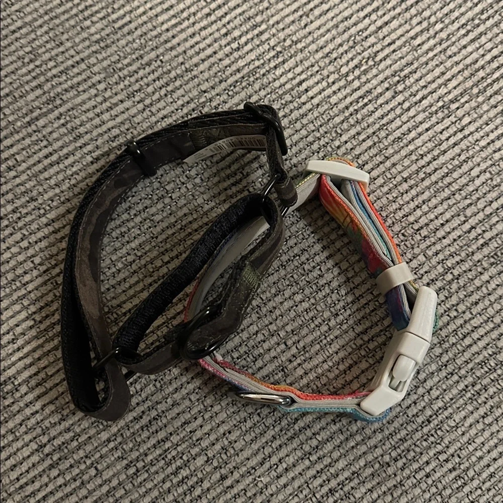Dog Collars - Size Small - Picture 3 of 4